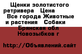 Щенки золотистого ретривера › Цена ­ 15 000 - Все города Животные и растения » Собаки   . Брянская обл.,Новозыбков г.